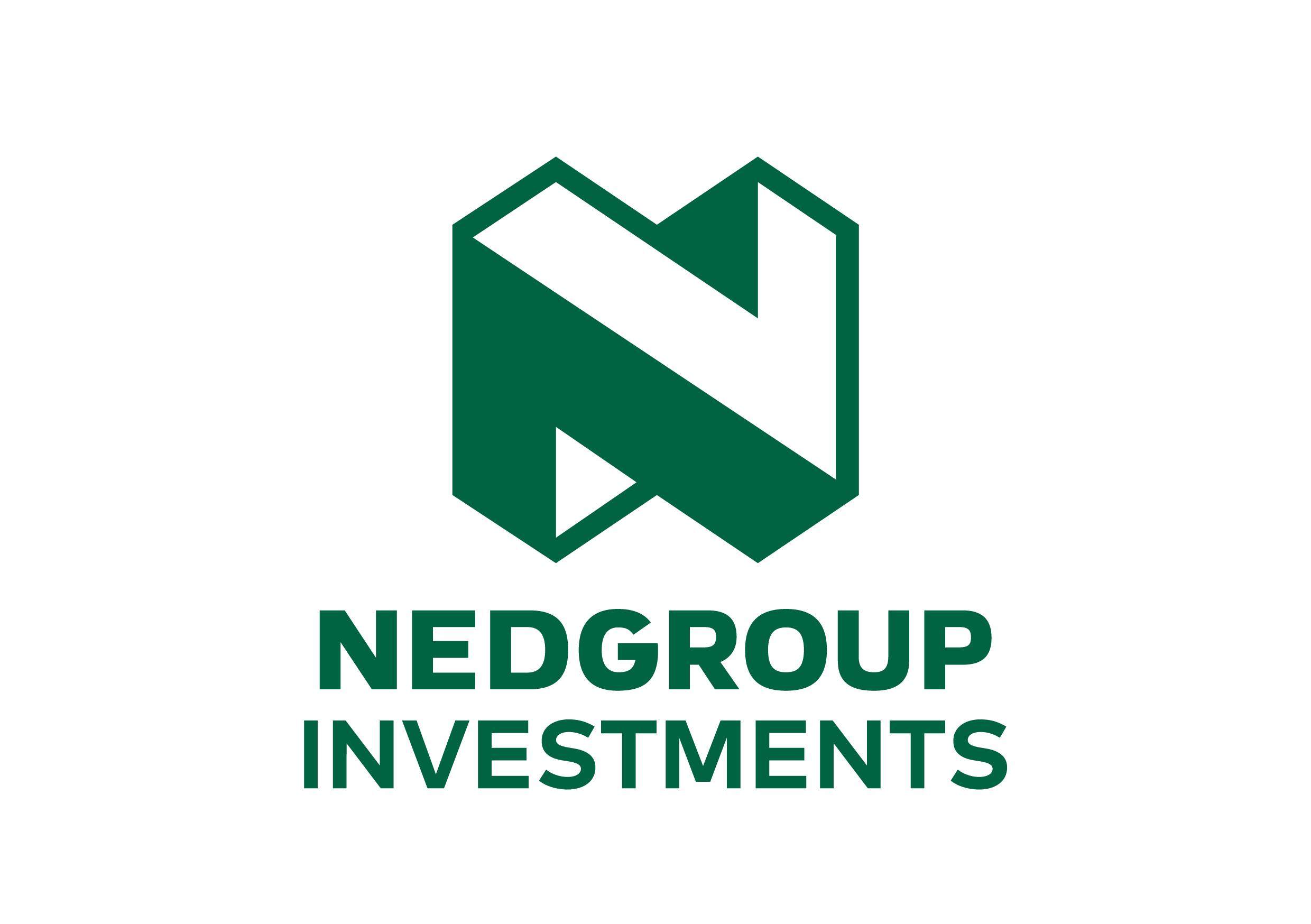NedGroup Investments logo